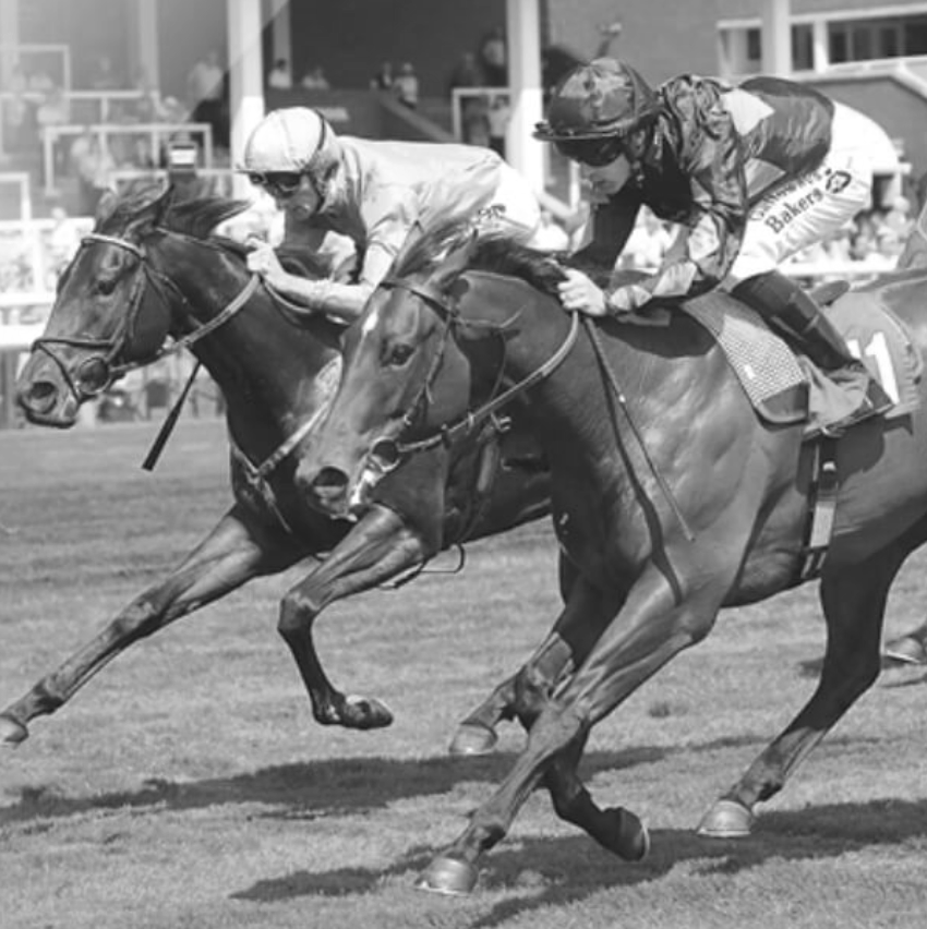 Get free horse racing tickets (2,500 pairs available per event)