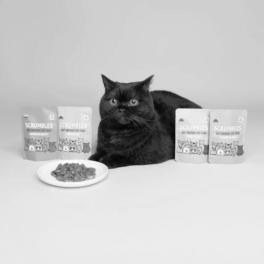 FREE Scrumbles Cat Food Sample