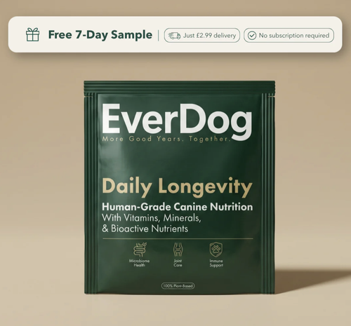 EverDog logo