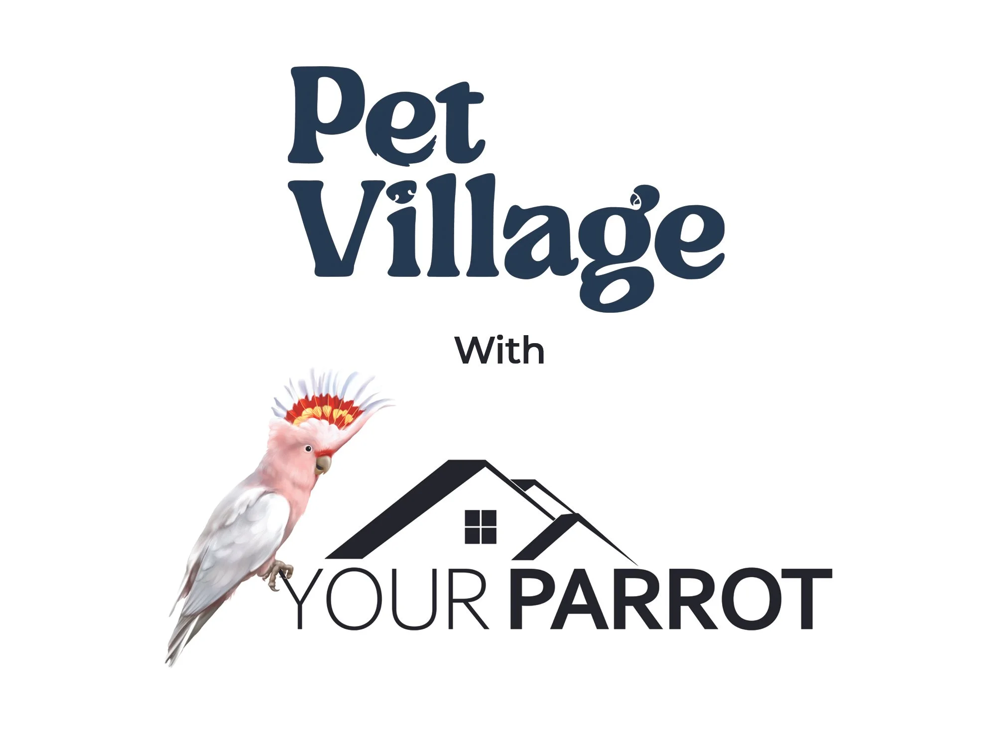Pet Village with Your Parrot