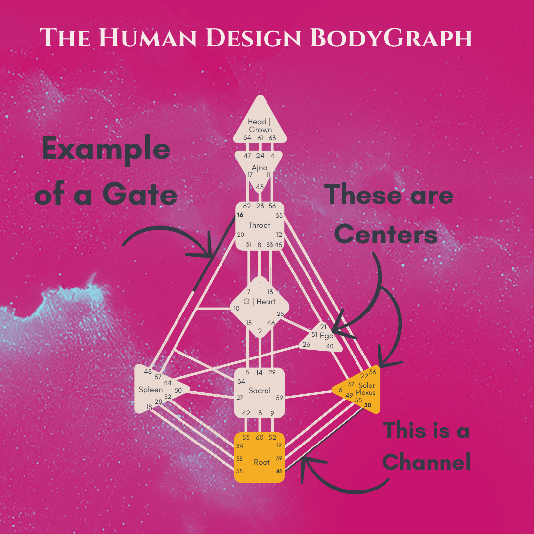 Unlocking the Secrets of the Human Design Gates Their True Meaning