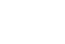 Santini Financial