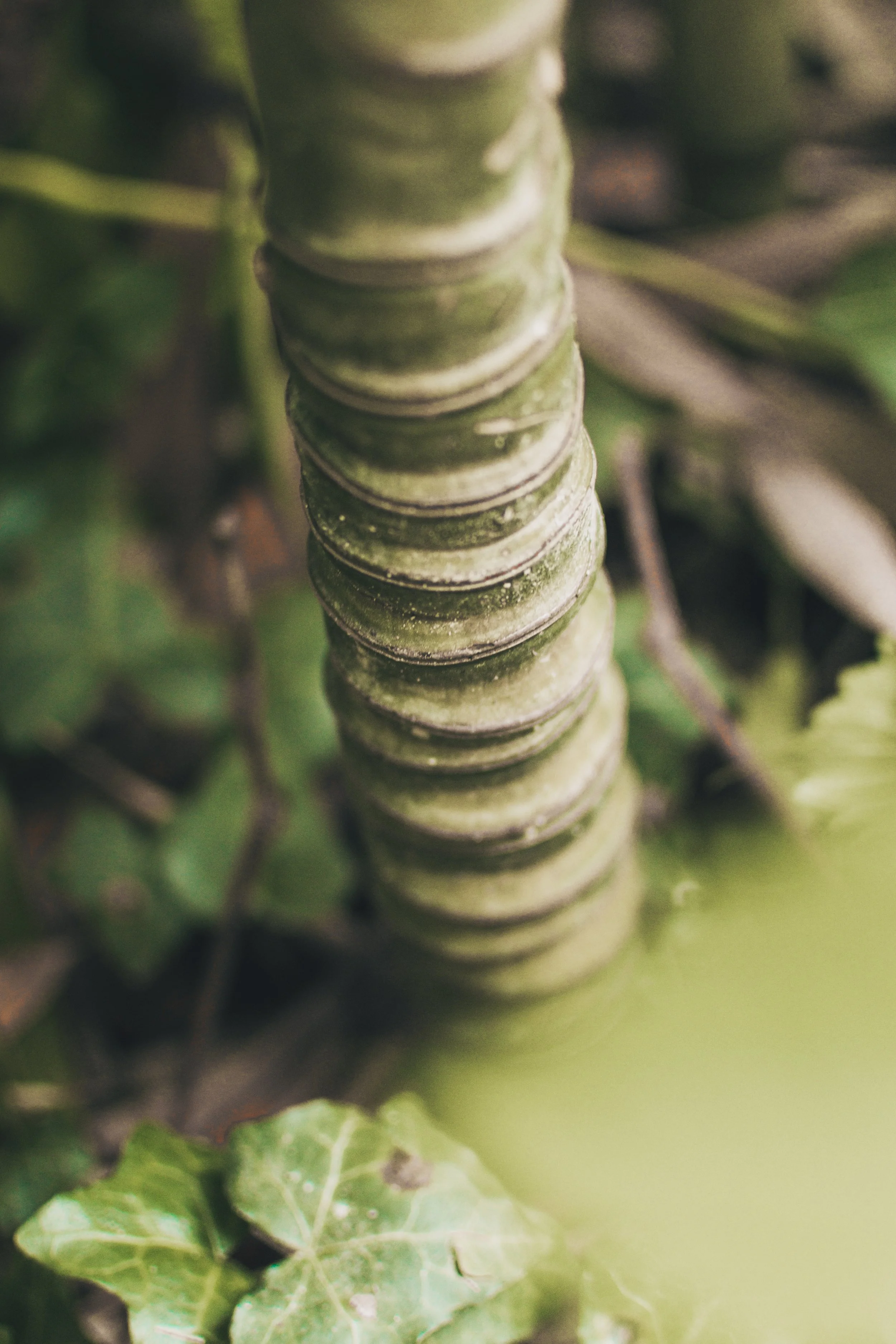 AAA_0064.jpg