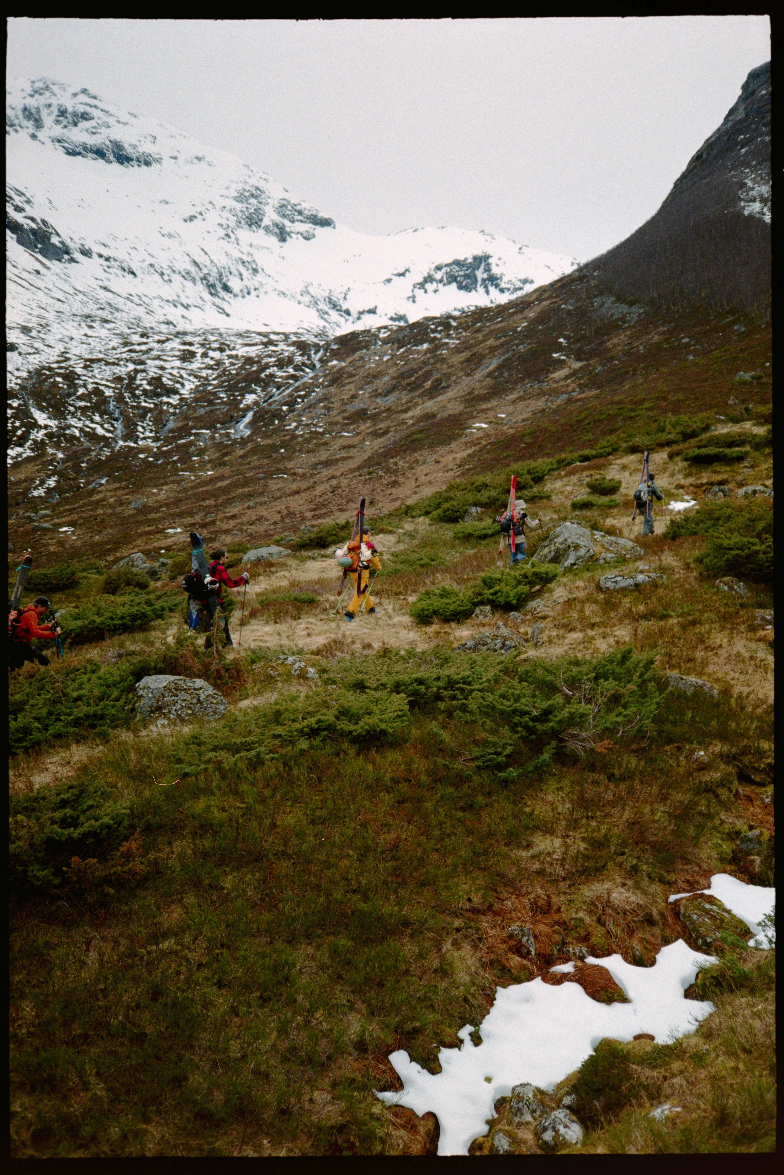DSC08660.jpg