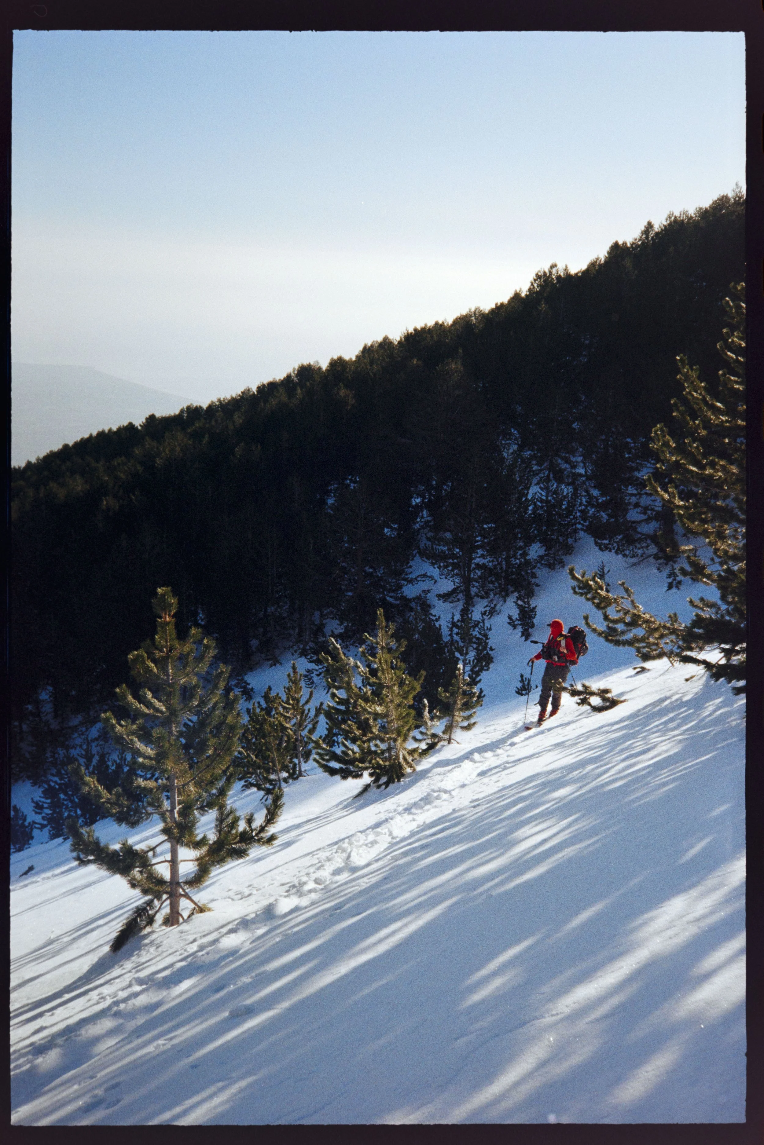 DSC08257.jpg