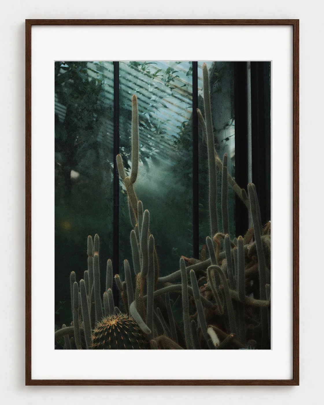 CACTUS_03_40x30_Picture_Frame_Layout.jpg