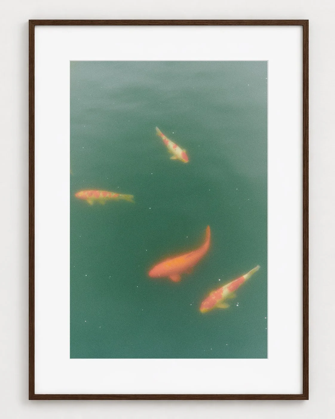 FISHES_01_30x20_Picture_Frame_Layout.jpg