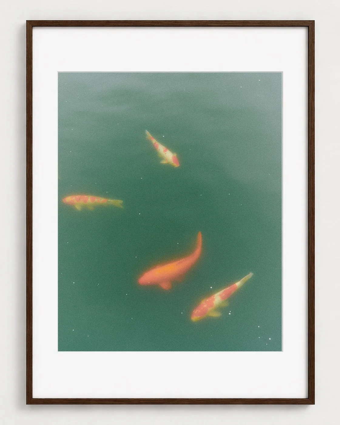 FISHES_01_20x16_Picture_Frame_Layout.jpg