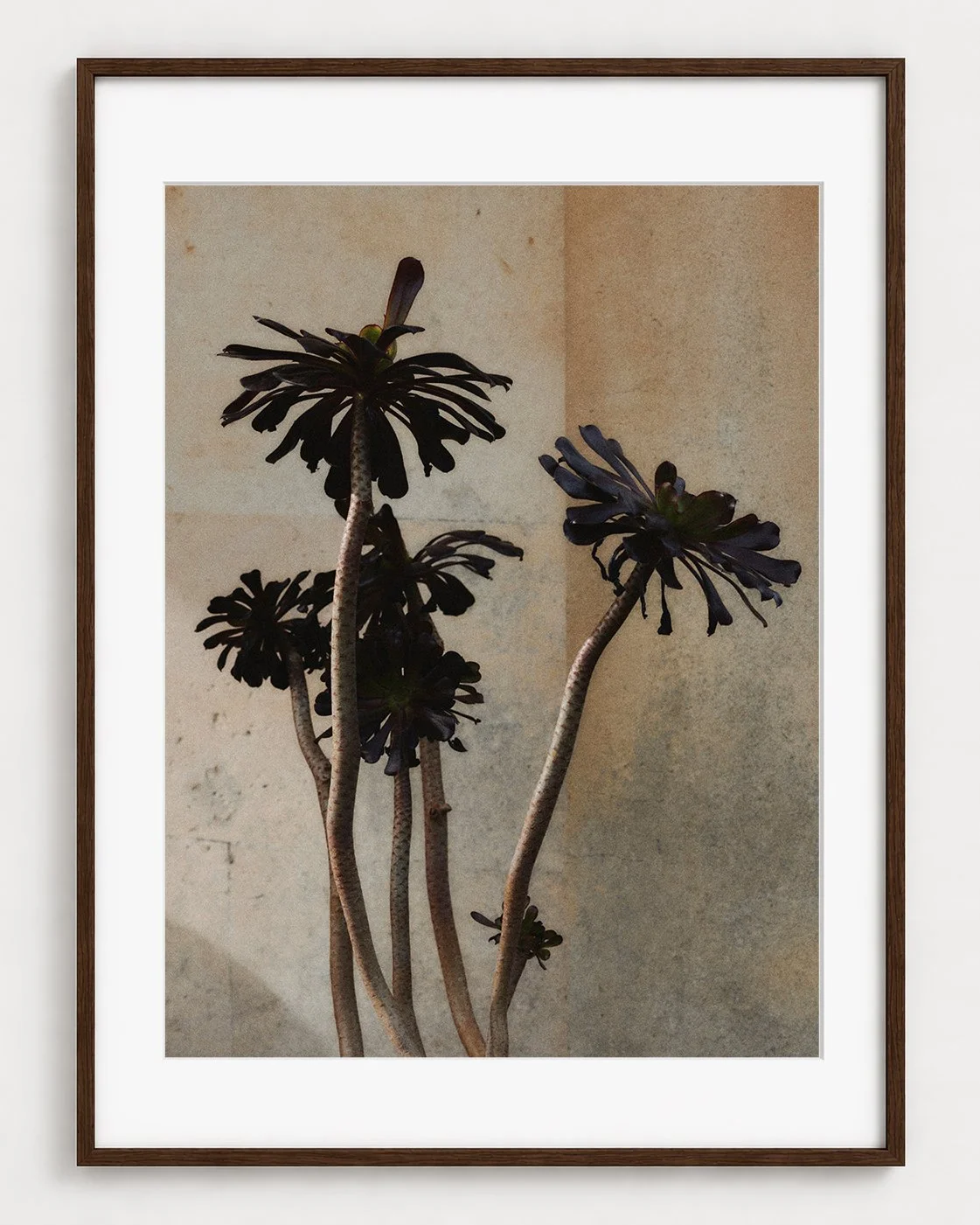 BOTANICAL_03_40x30_Picture_Frame_Layout.jpg