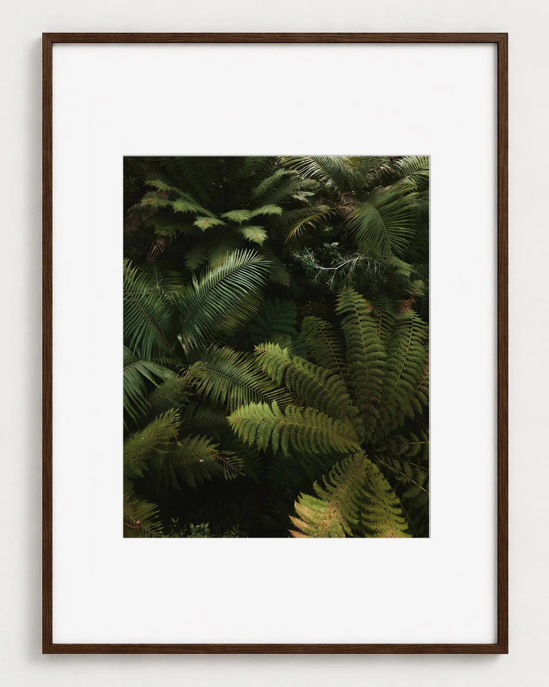 FERN_01_20x16_Picture_Frame_Layout_New_Smaller.jpg