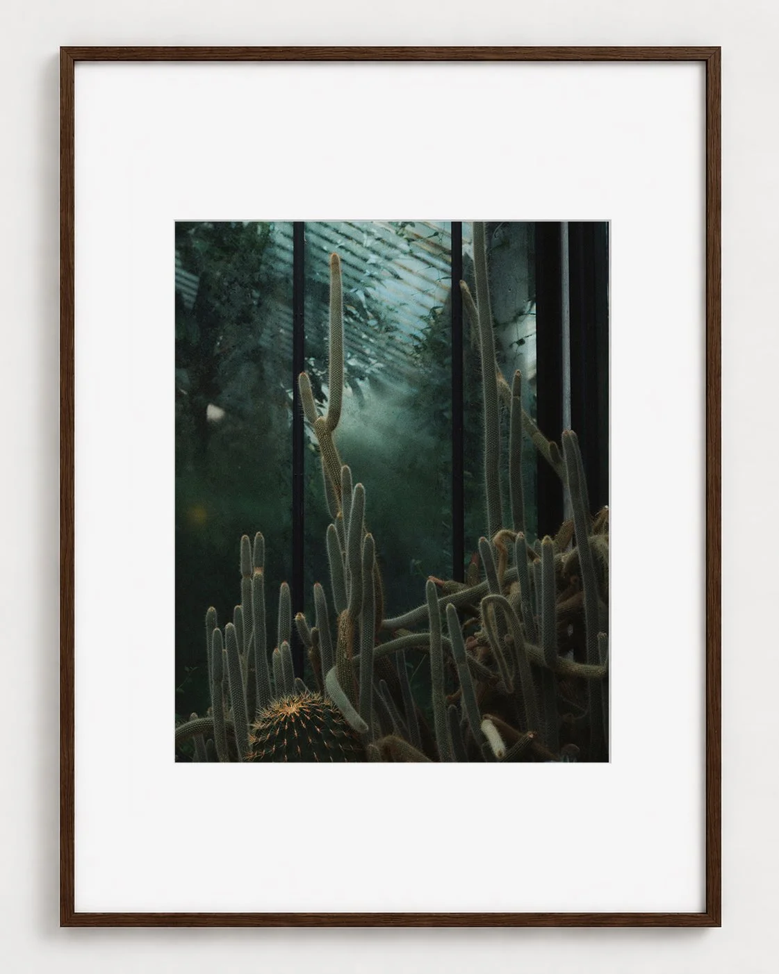 CACTUS_03_20x16_Picture_Frame_Layout_New_Smaller.jpg