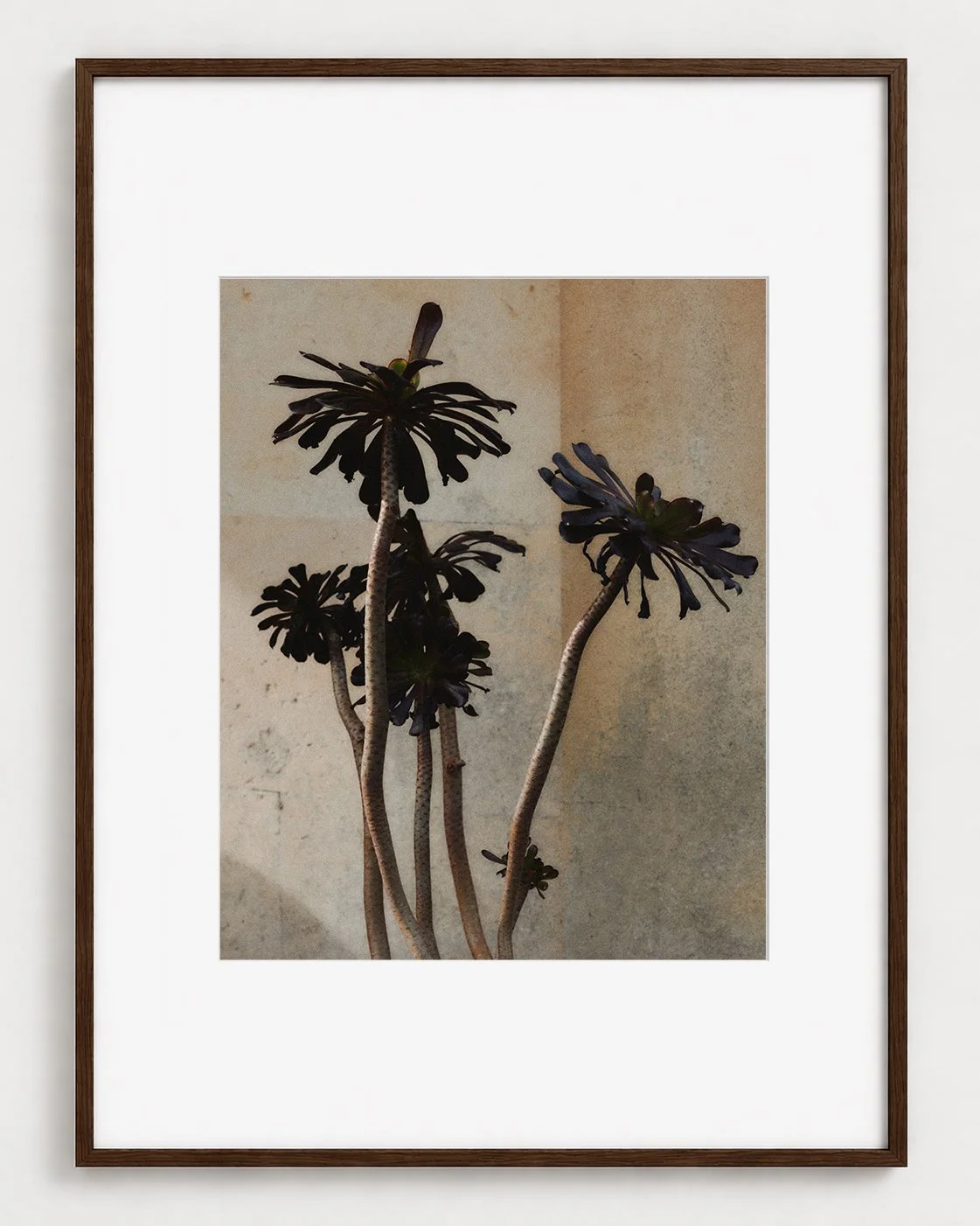 BOTANICAL_03_20x16_Picture_Frame_Layout_New_Smaller.jpg