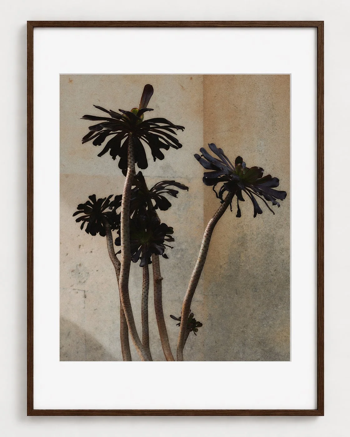 Botanical 03 (20×16)