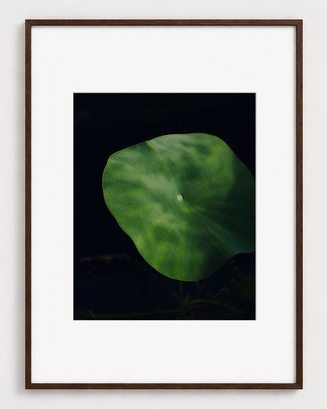 VERDURE_02_20x16_Picture_Frame_Layout_New_Smaller.jpg