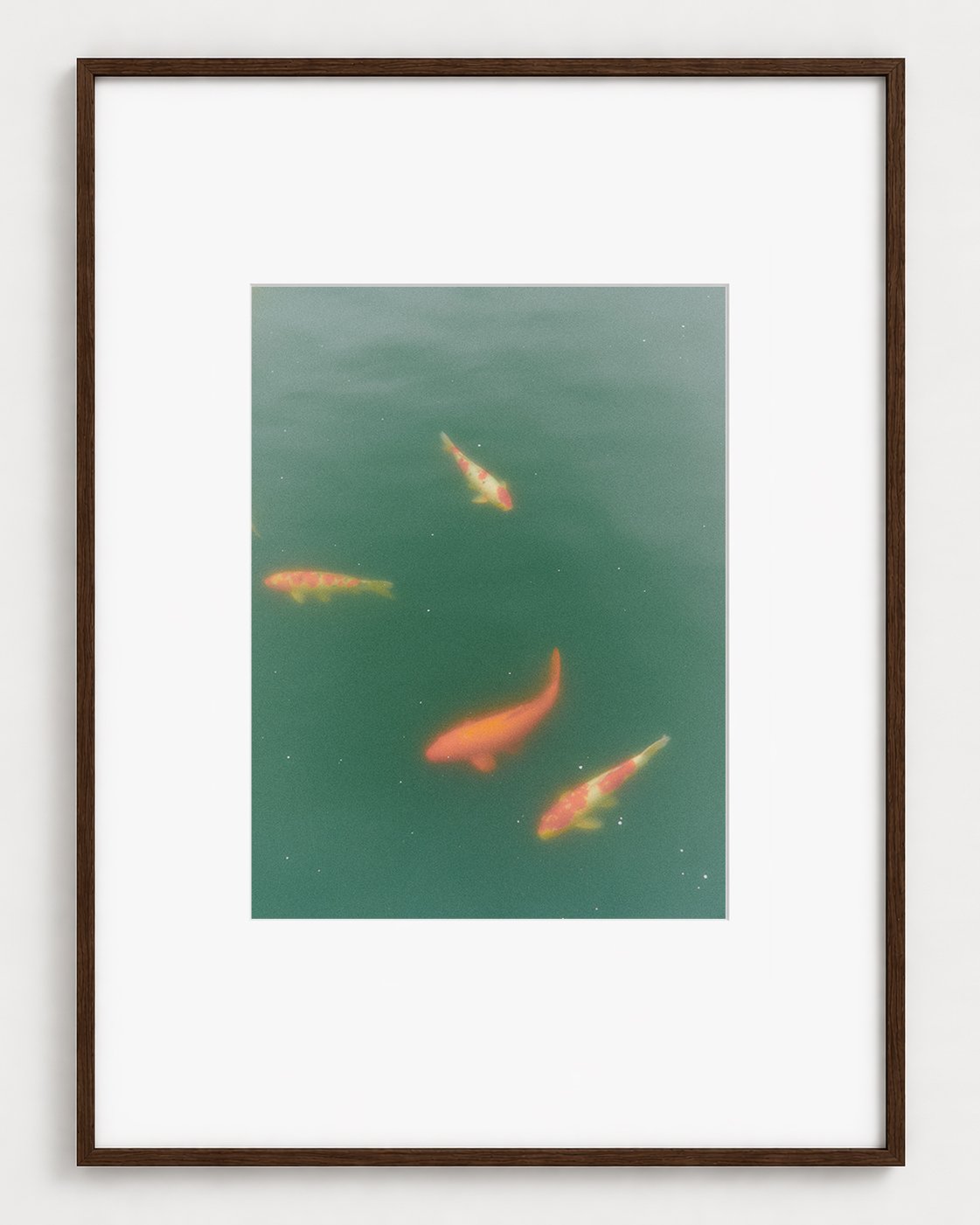 FISHES_01_16x12_Picture_Frame_Layout_New_Smaller.jpg