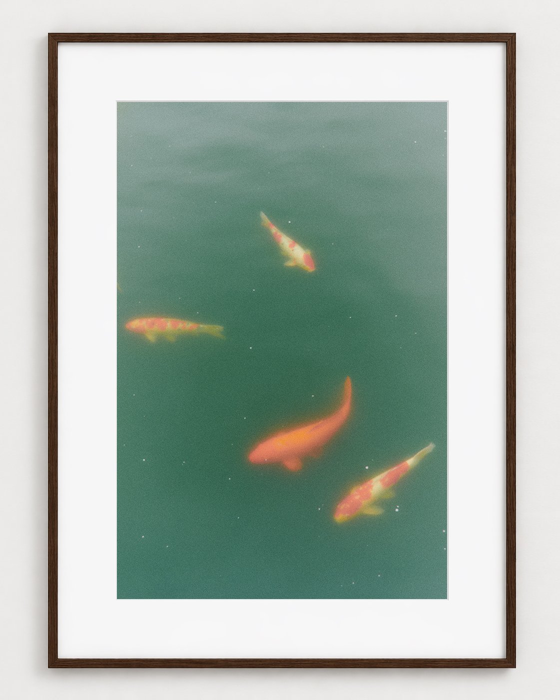 FISHES_01_30x20_Picture_Frame_Layout.jpg