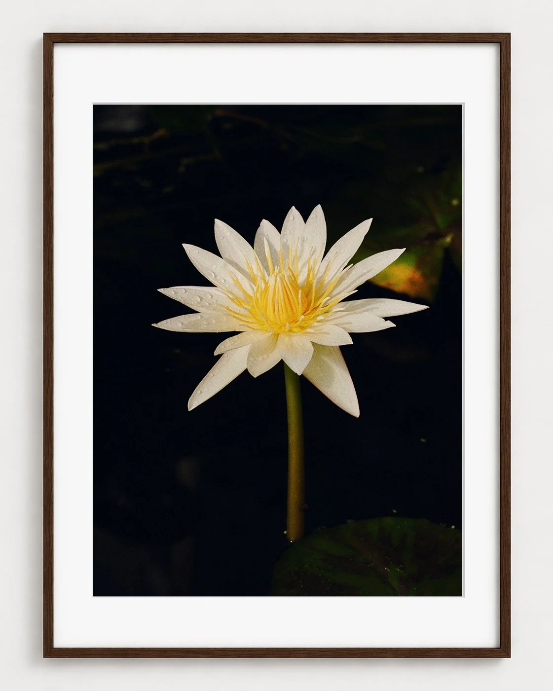 LILY_03_40x30_Picture_Frame_Layout.jpg