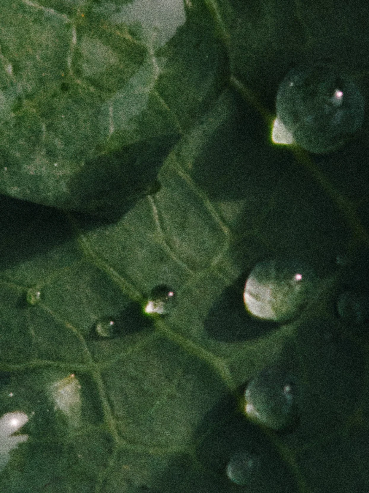 WATER_03_16x12_Detail_sRGB.jpg