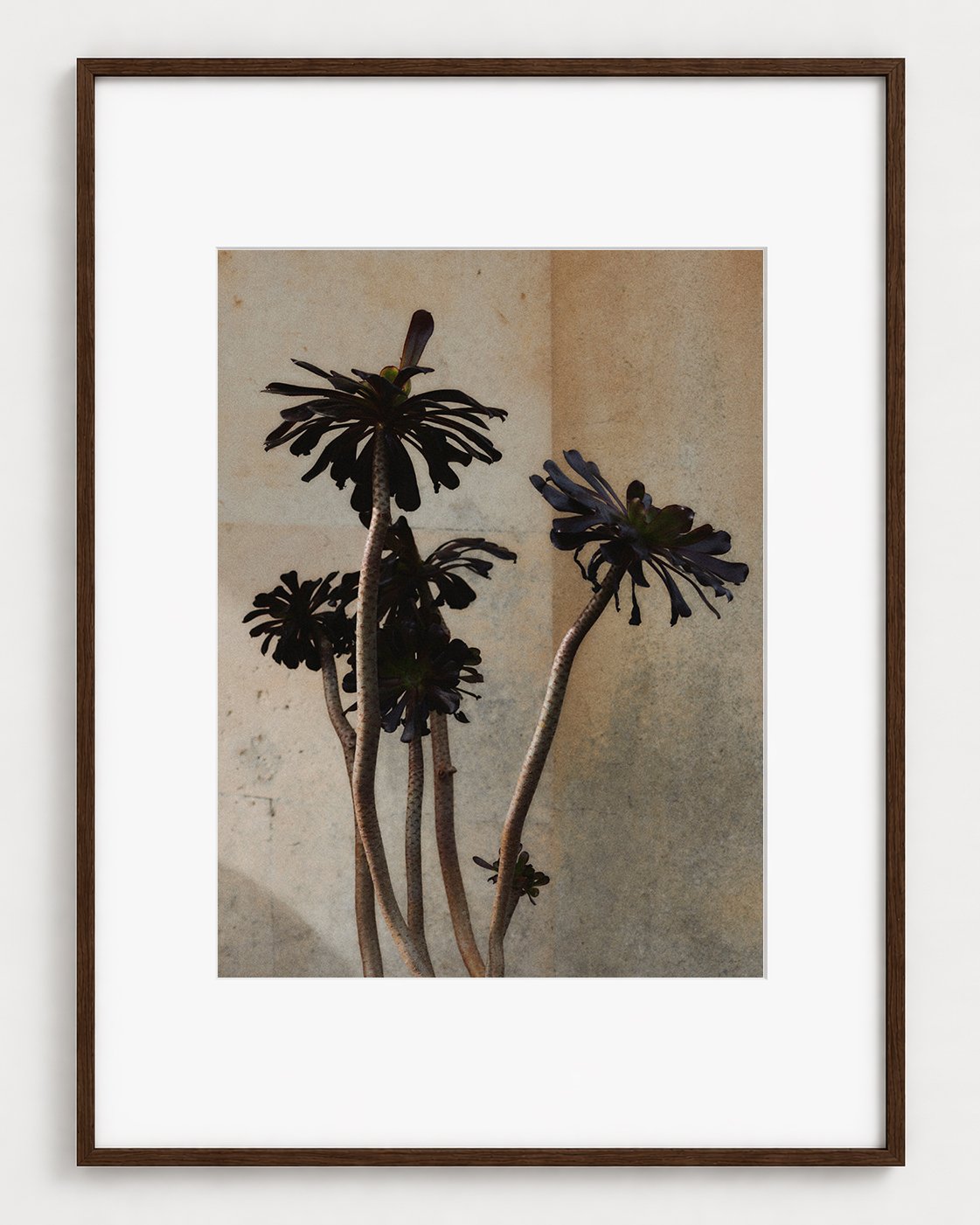 Botanical 03  (16×12)