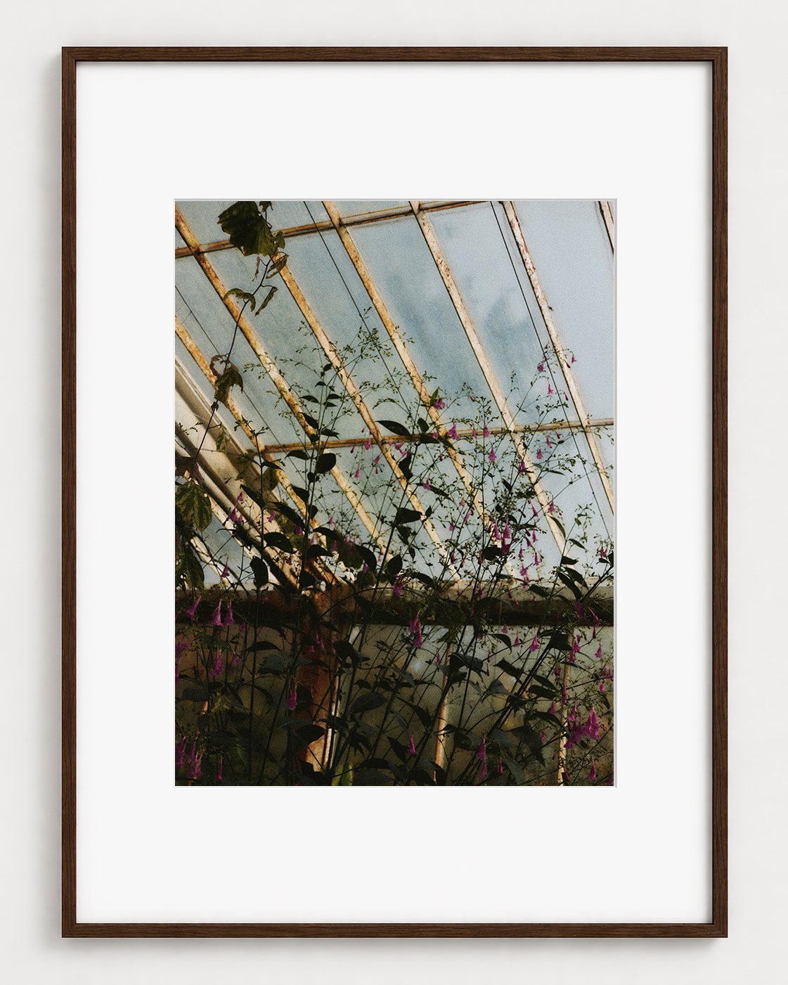 Botanical 01  (16×12)