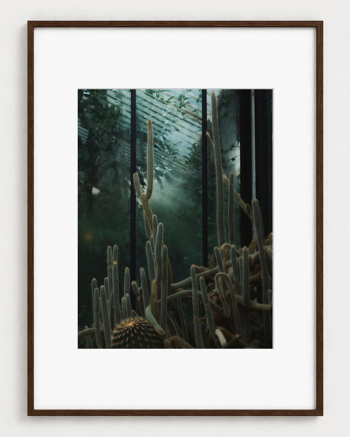 CACTUS_03_16x12_Picture_Frame_Layout.jpg