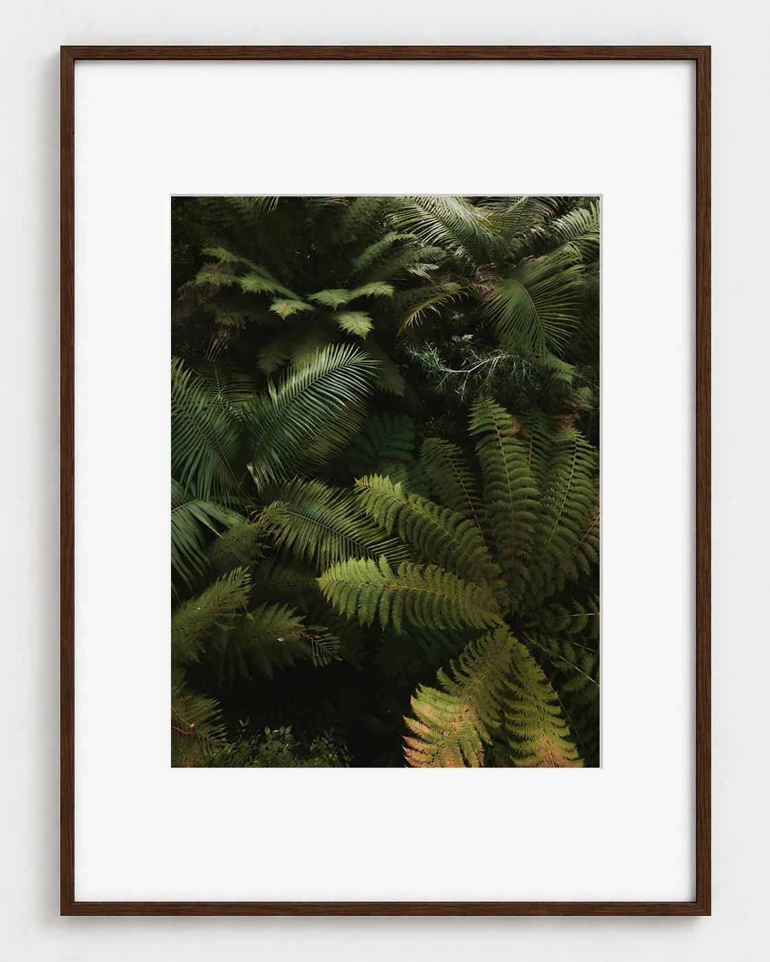 FERN_01_16x12_Picture_Frame_Layout.jpg