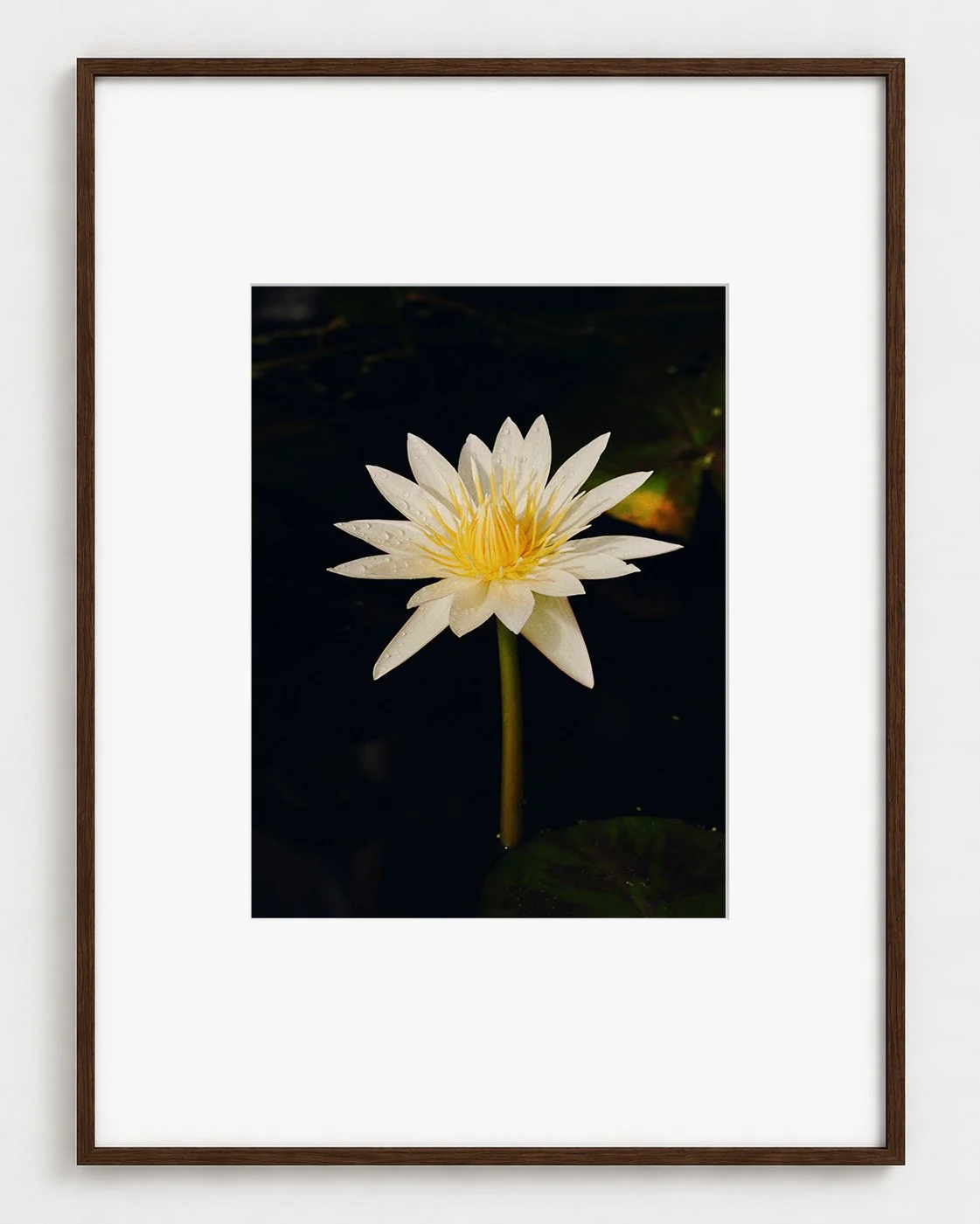 LILY_03_16x12_Picture_Frame_Layout_New_Smaller.jpg