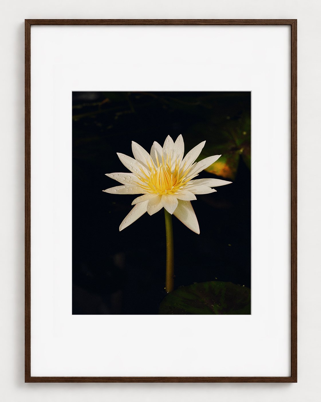 LILY_03_20x16_Picture_Frame_Layout_New_Smaller.jpg