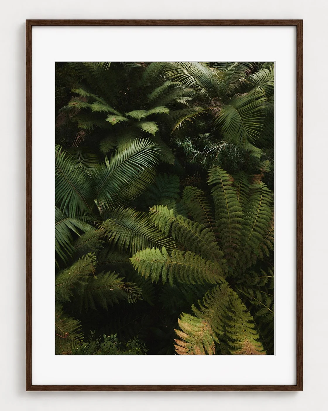 FERN_01_40x30_Picture_Frame_Layout.jpg