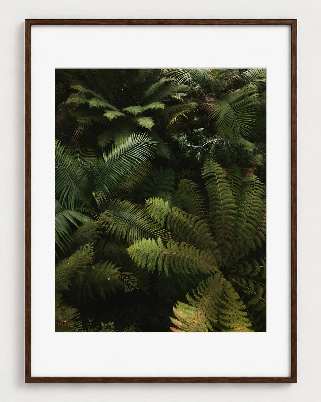 FERN_01_20x16_Picture_Frame_Layout.jpg