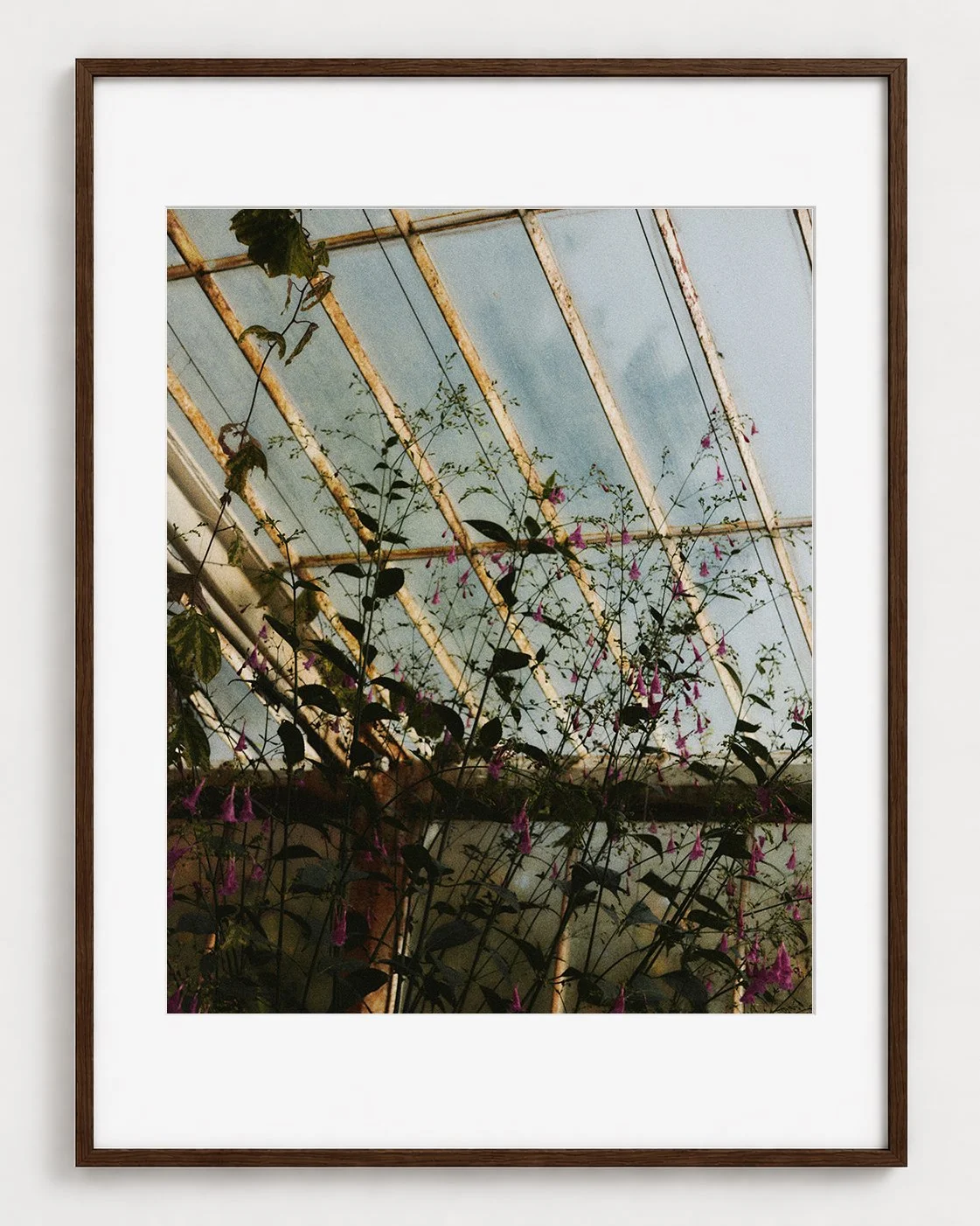 Botanical 01  (20×16)