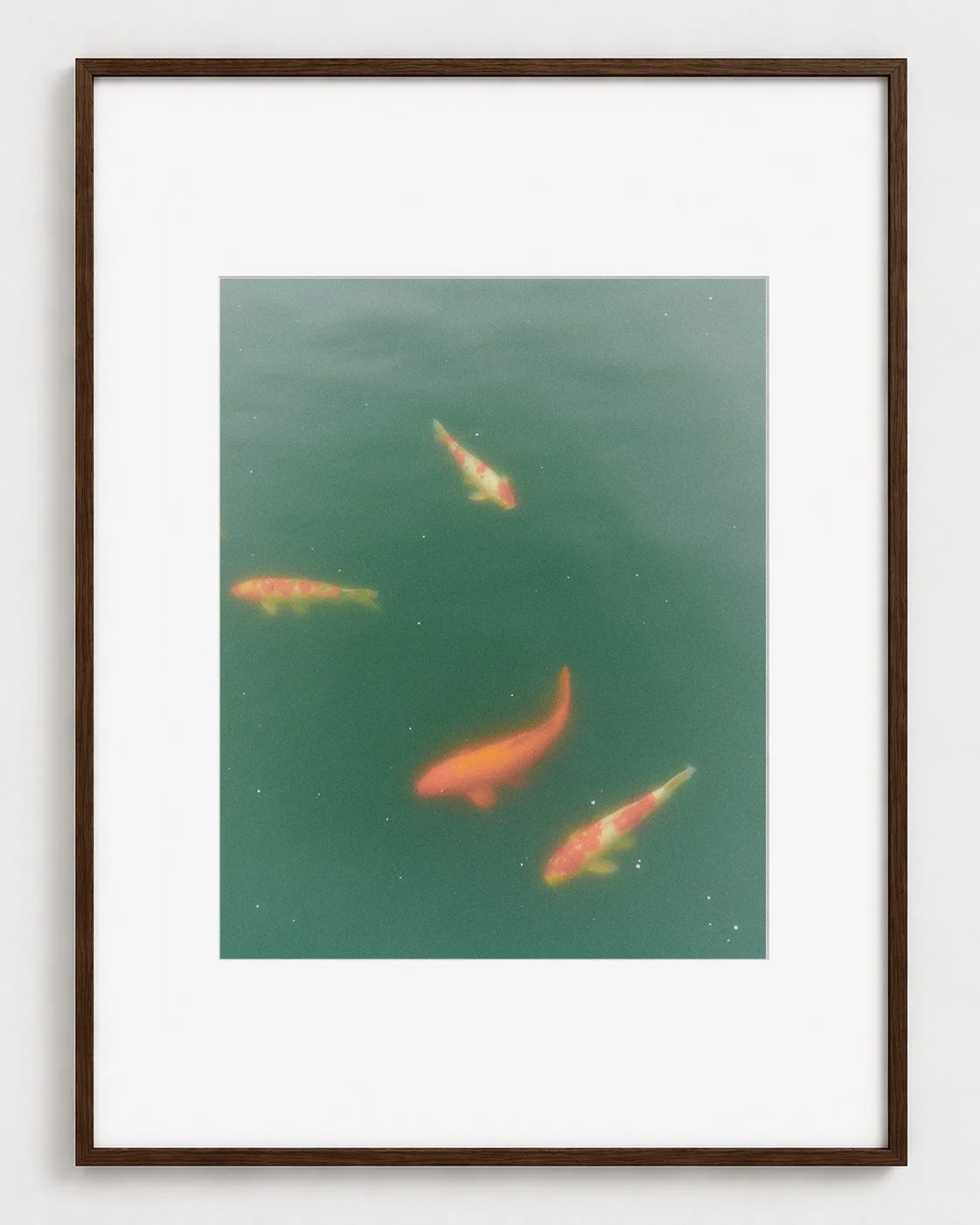 FISHES_01_20x16_Picture_Frame_Layout_New_Smaller.jpg
