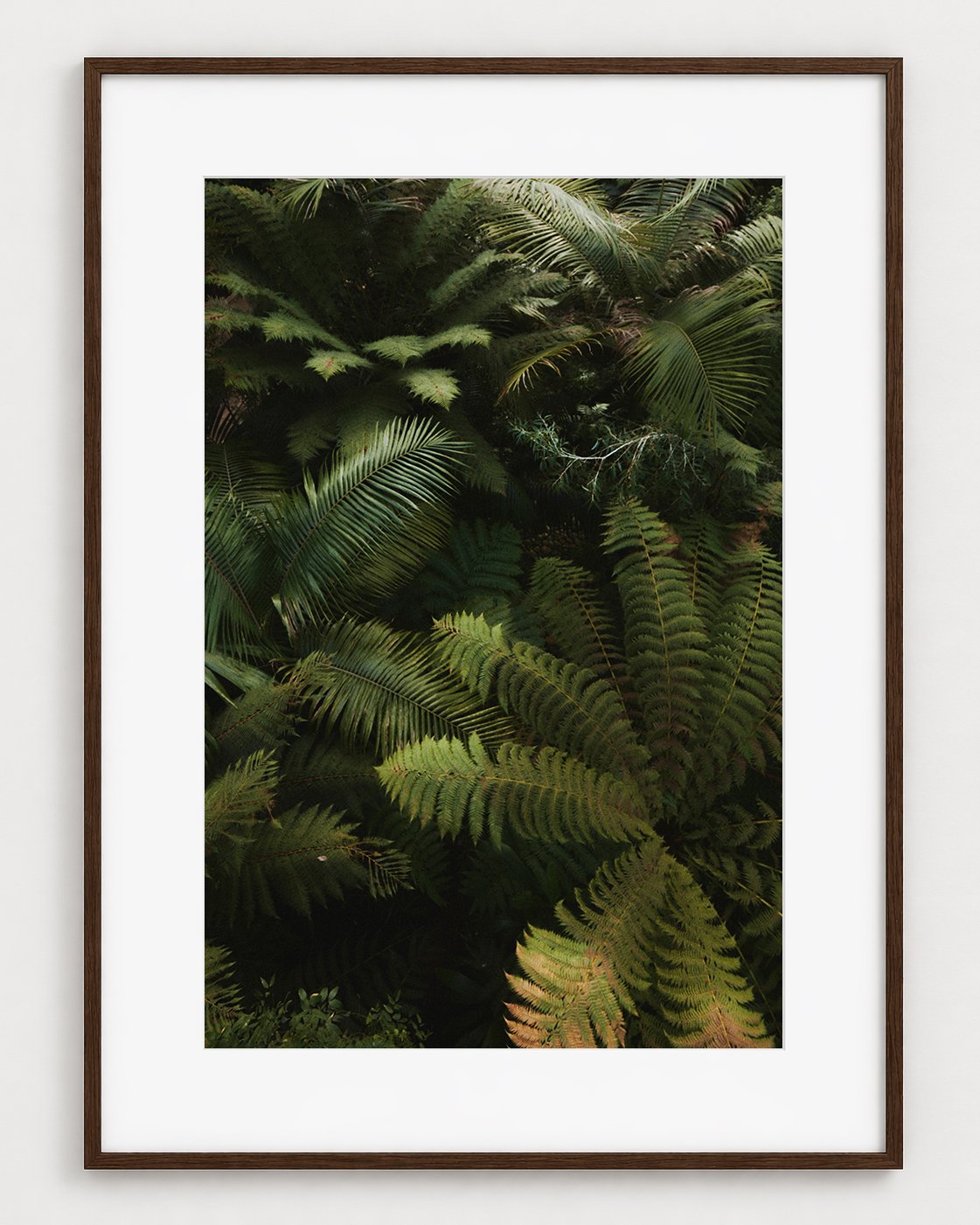 FERN_01_30x20_Picture_Frame_Layout.jpg