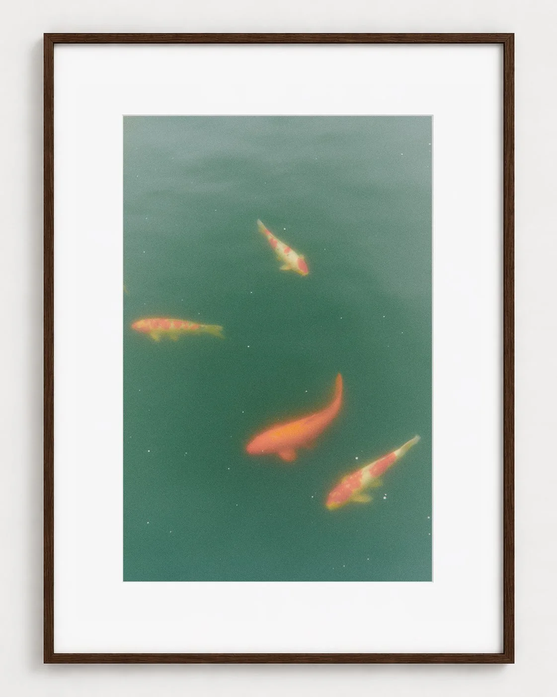 FISHES_01_30x20_Picture_Frame_Layout_New_Smaller.jpg