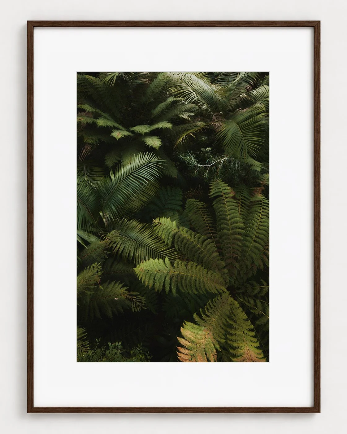 FERN_01_30x20_Picture_Frame_Layout_New_Smaller.jpg