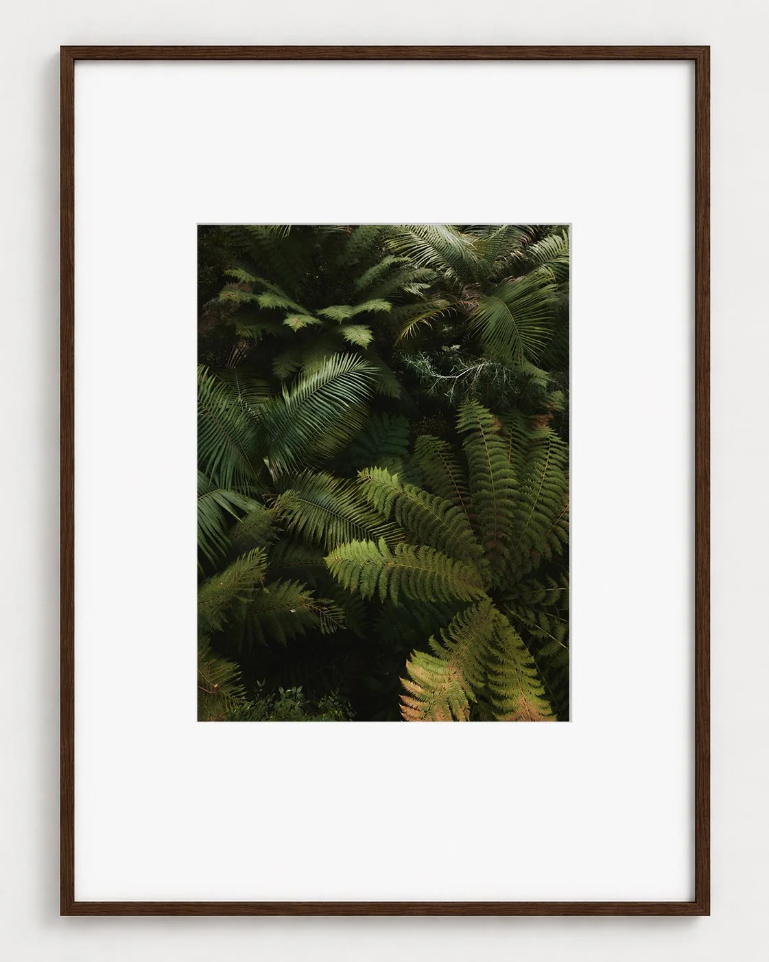 FERN_01_16x12_Picture_Frame_Layout_New_Smaller.jpg