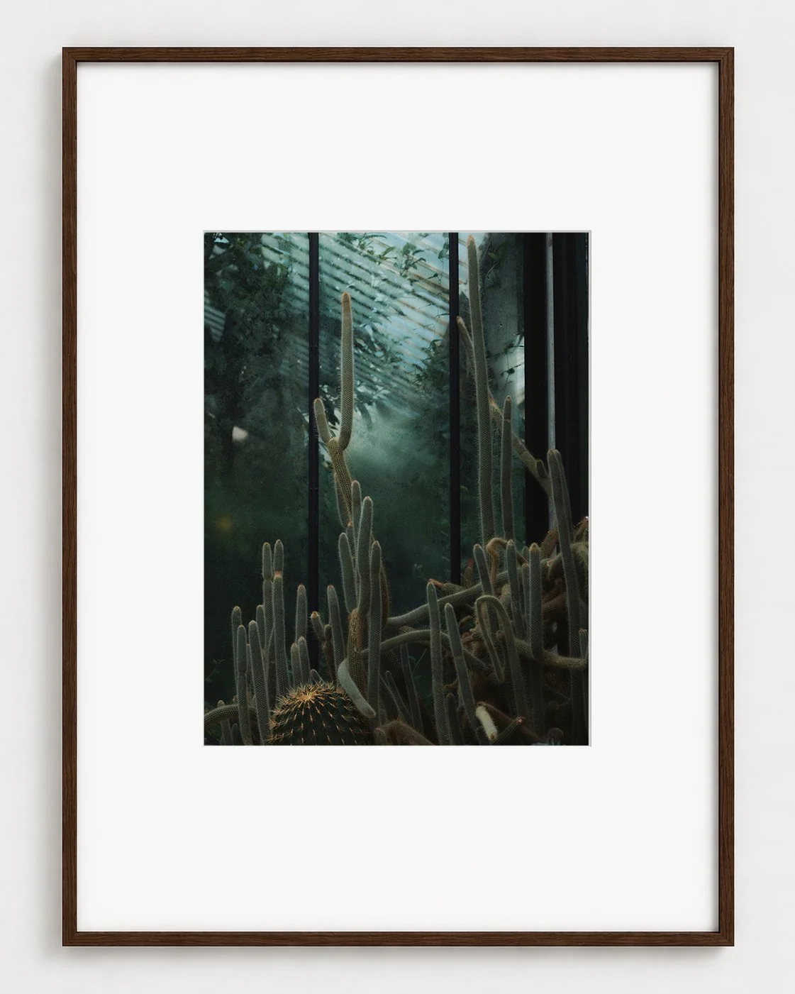 CACTUS_03_16x12_Picture_Frame_Layout_New_Smaller.jpg