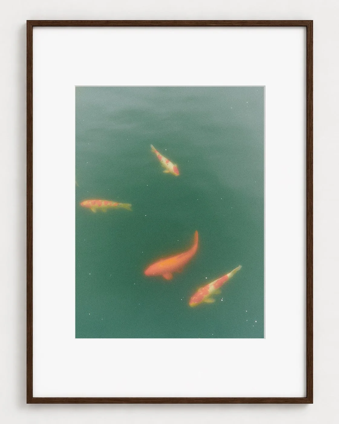 FISHES_01_16x12_Picture_Frame_Layout.jpg
