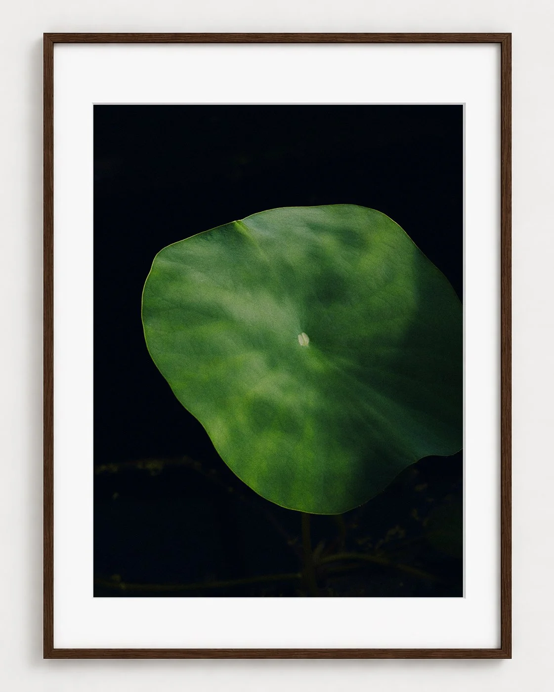 VERDURE_01_40x30_Picture_Frame_Layout.jpg