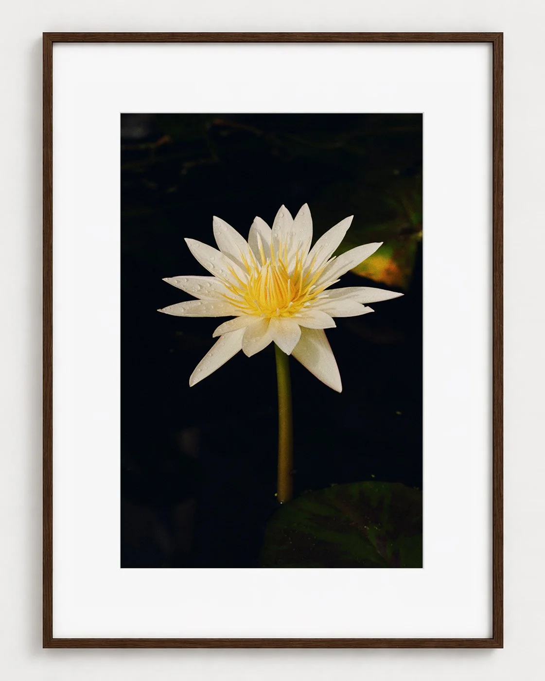 LILY_03_30x20_Picture_Frame_Layout_New_Smaller.jpg