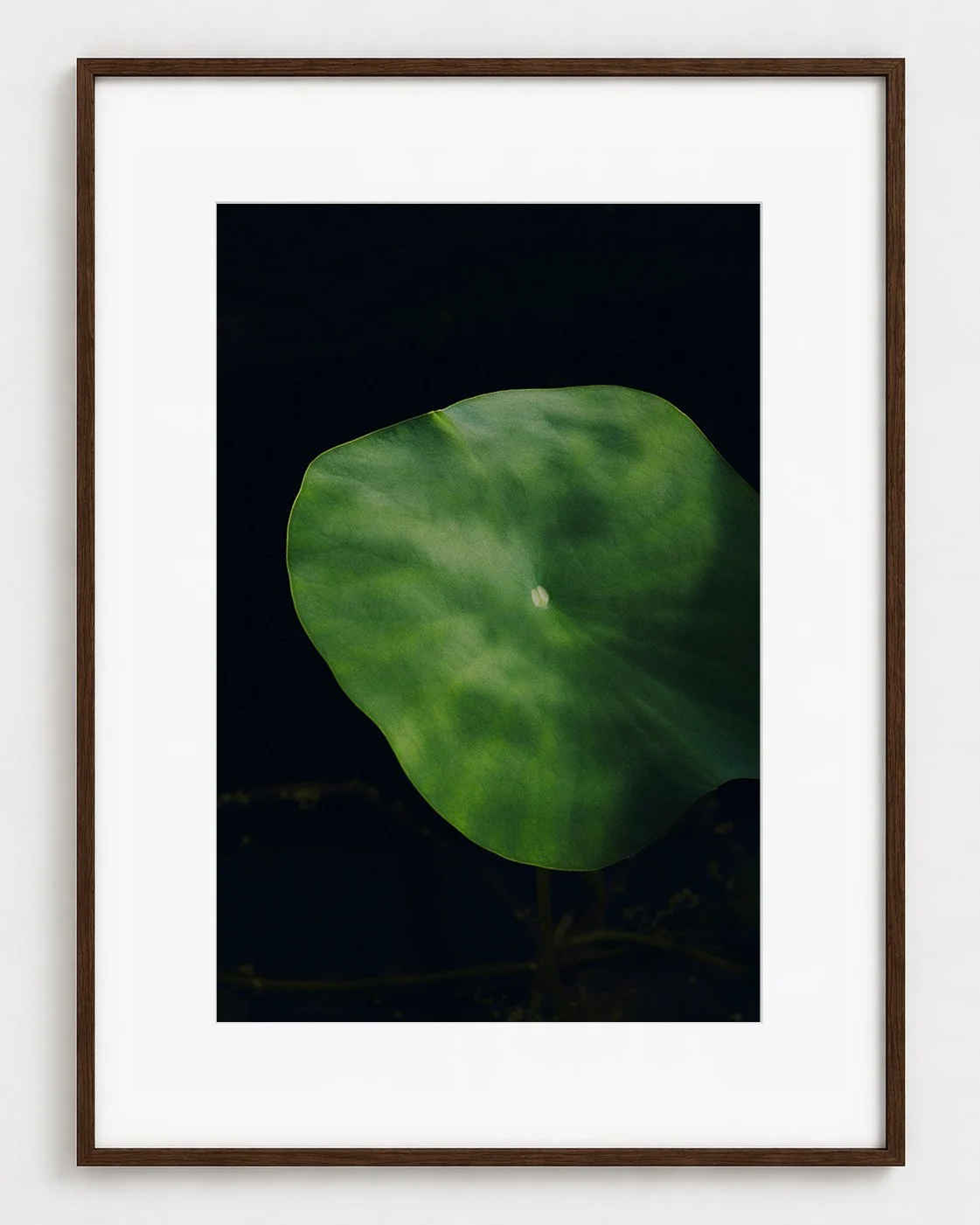 VERDURE_02_30x20_Picture_Frame_Layout_New_Smaller.jpg