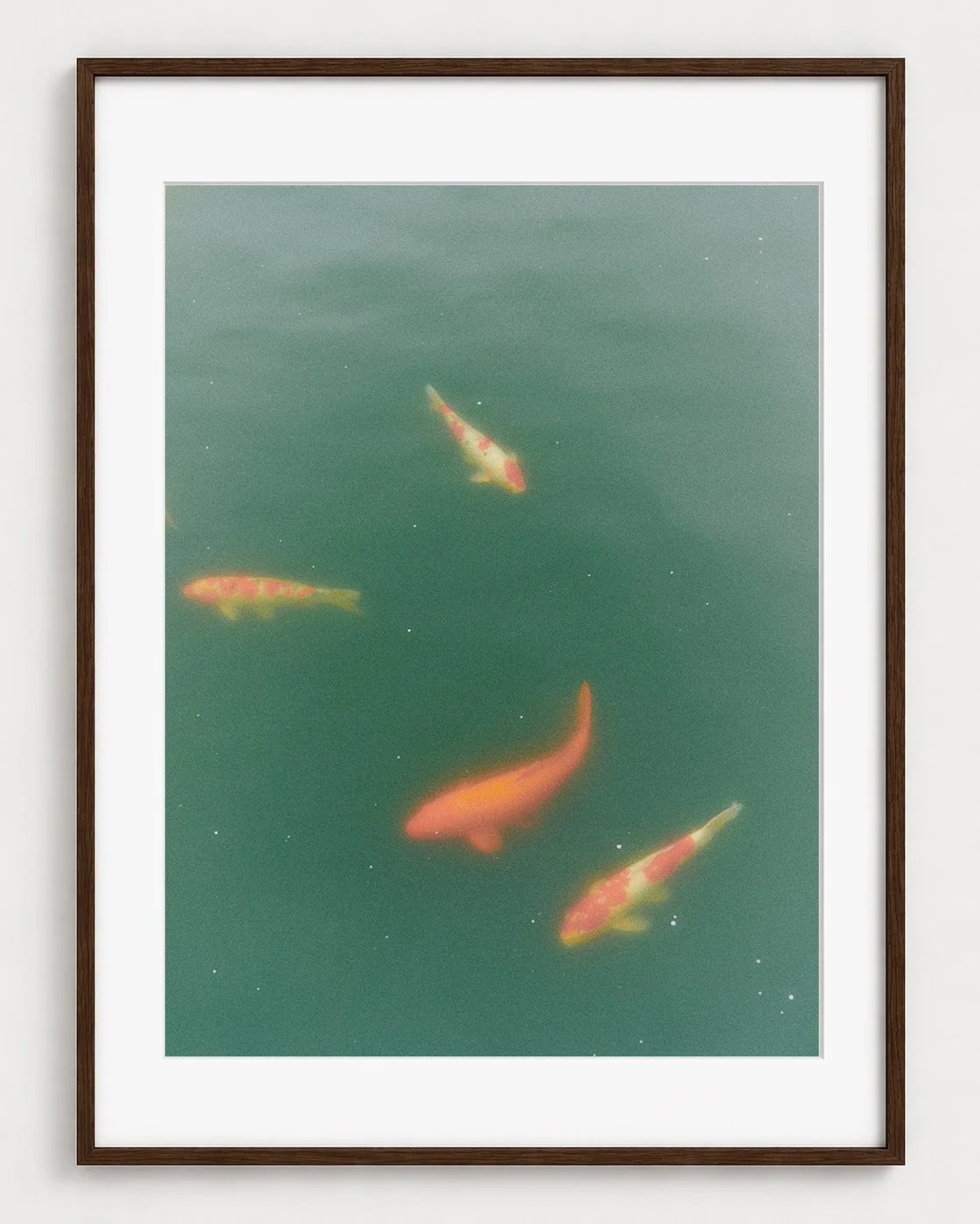 FISHES_01_40x30_Picture_Frame_Layout.jpg