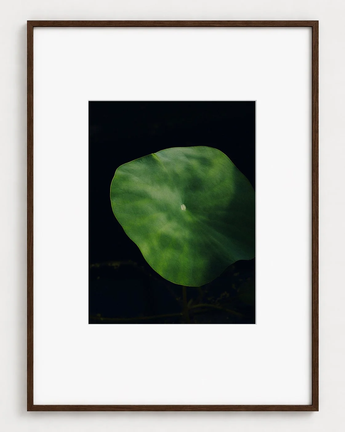 VERDURE_02_16x12_Picture_Frame_Layout_New_Smaller.jpg