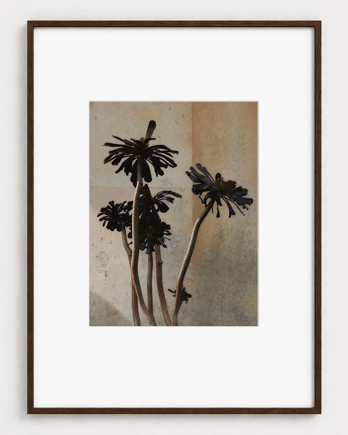 BOTANICAL_03_16x12_Picture_Frame_Layout_New_Smaller.jpg