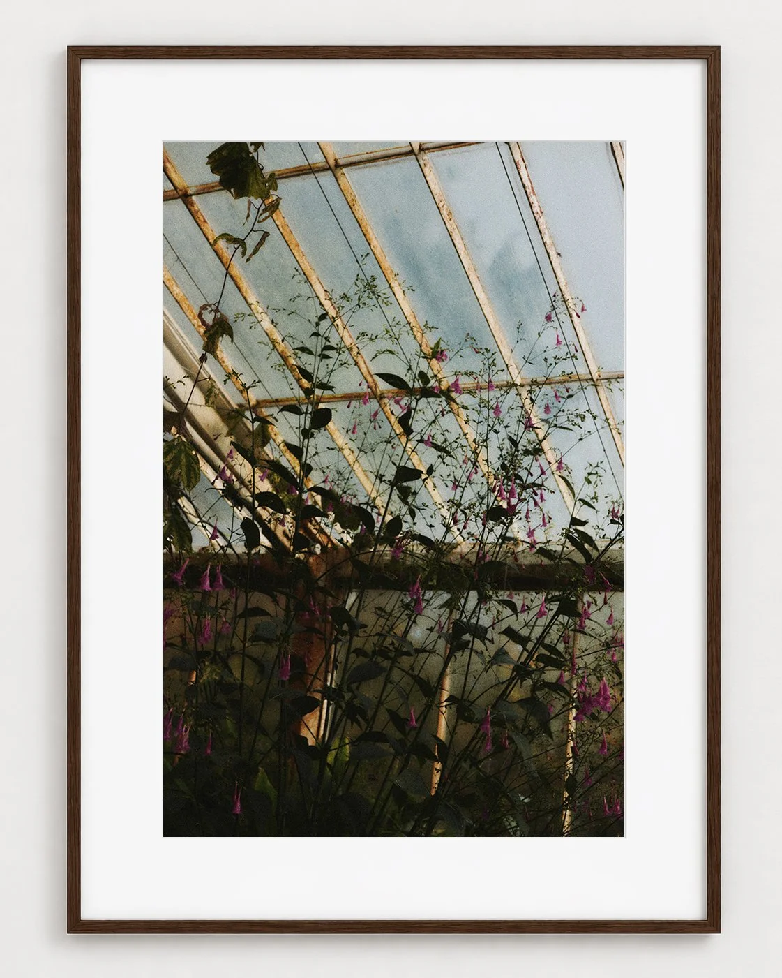 Botanical 01  (30"×20")