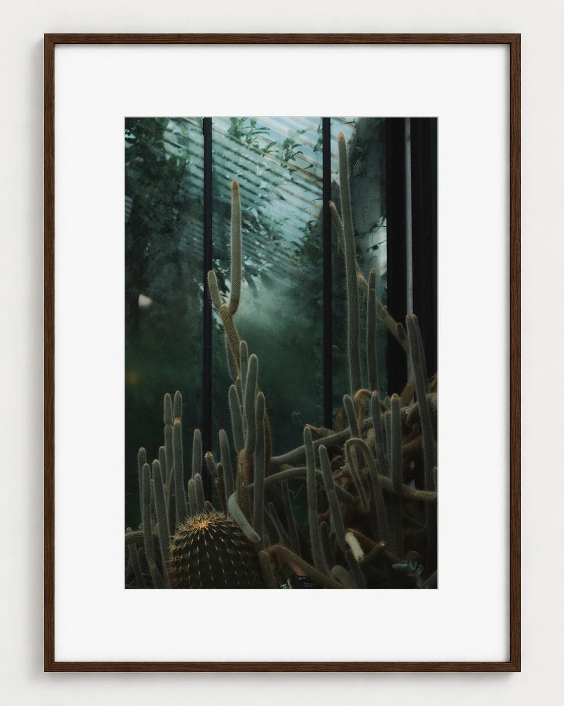 CACTUS_03_30x20_Picture_Frame_Layout_New_Smaller.jpg