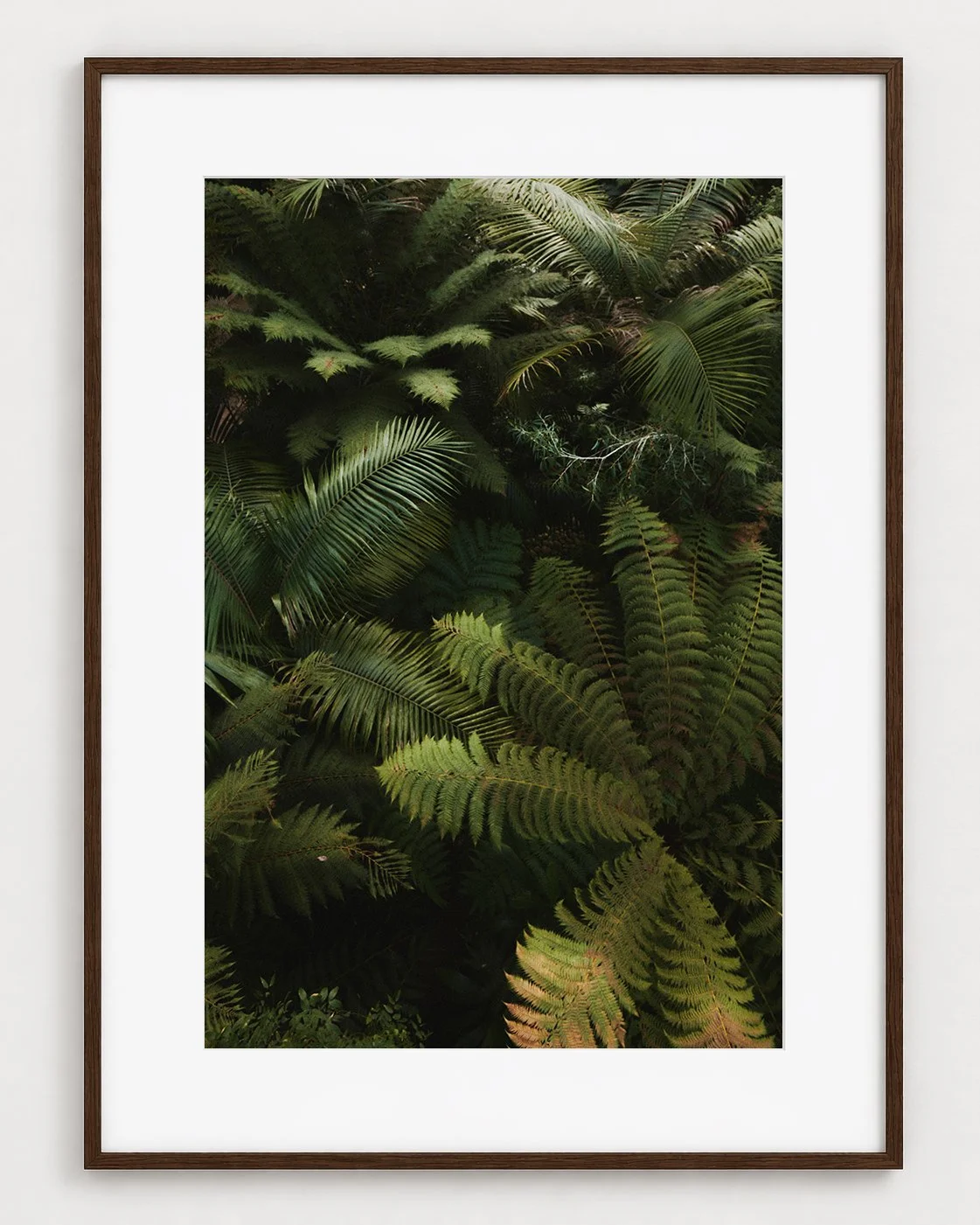 FERN_01_30x20_Picture_Frame_Layout.jpg