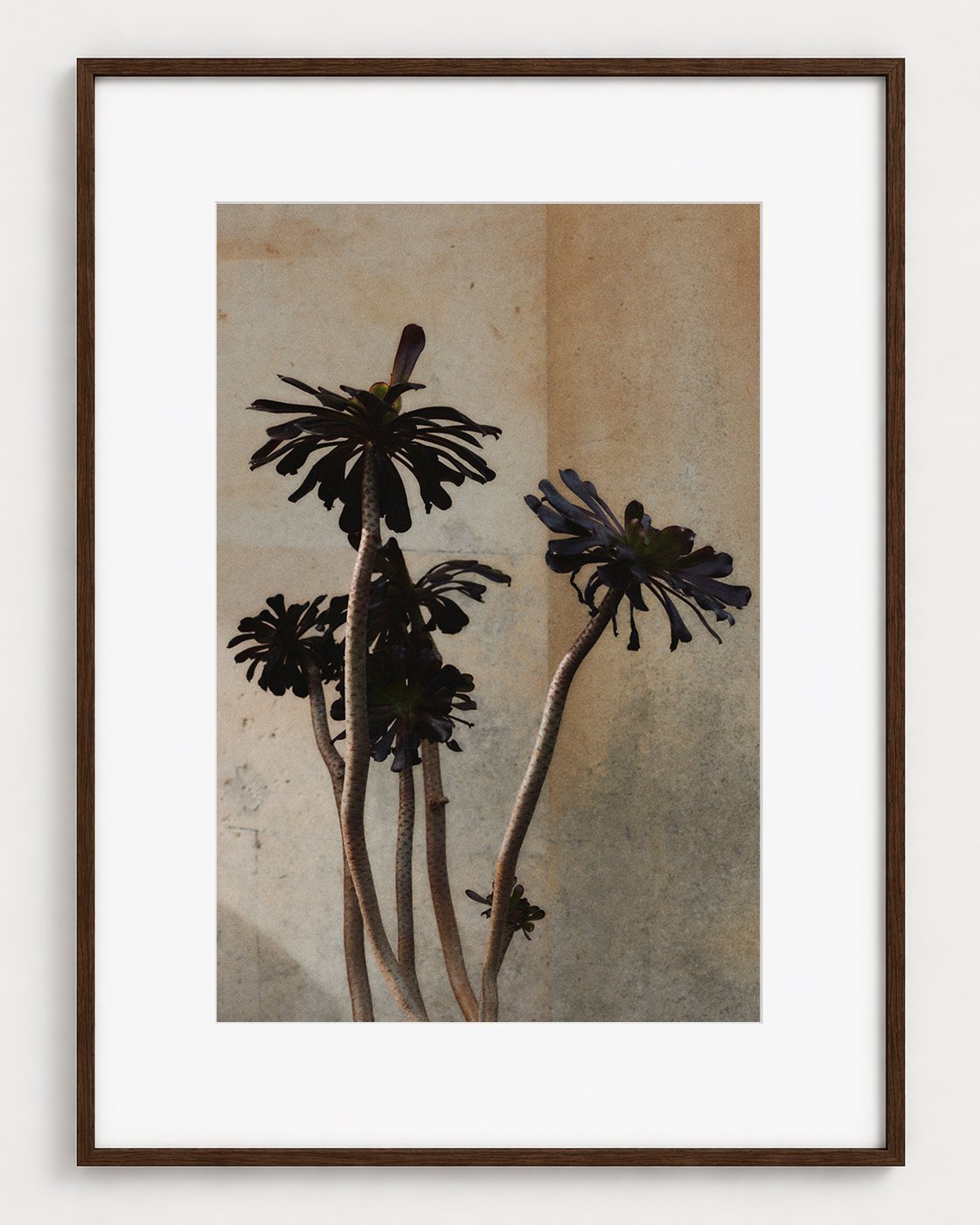 BOTANICAL_03_30x20_Picture_Frame_Layout_New_Smaller.jpg