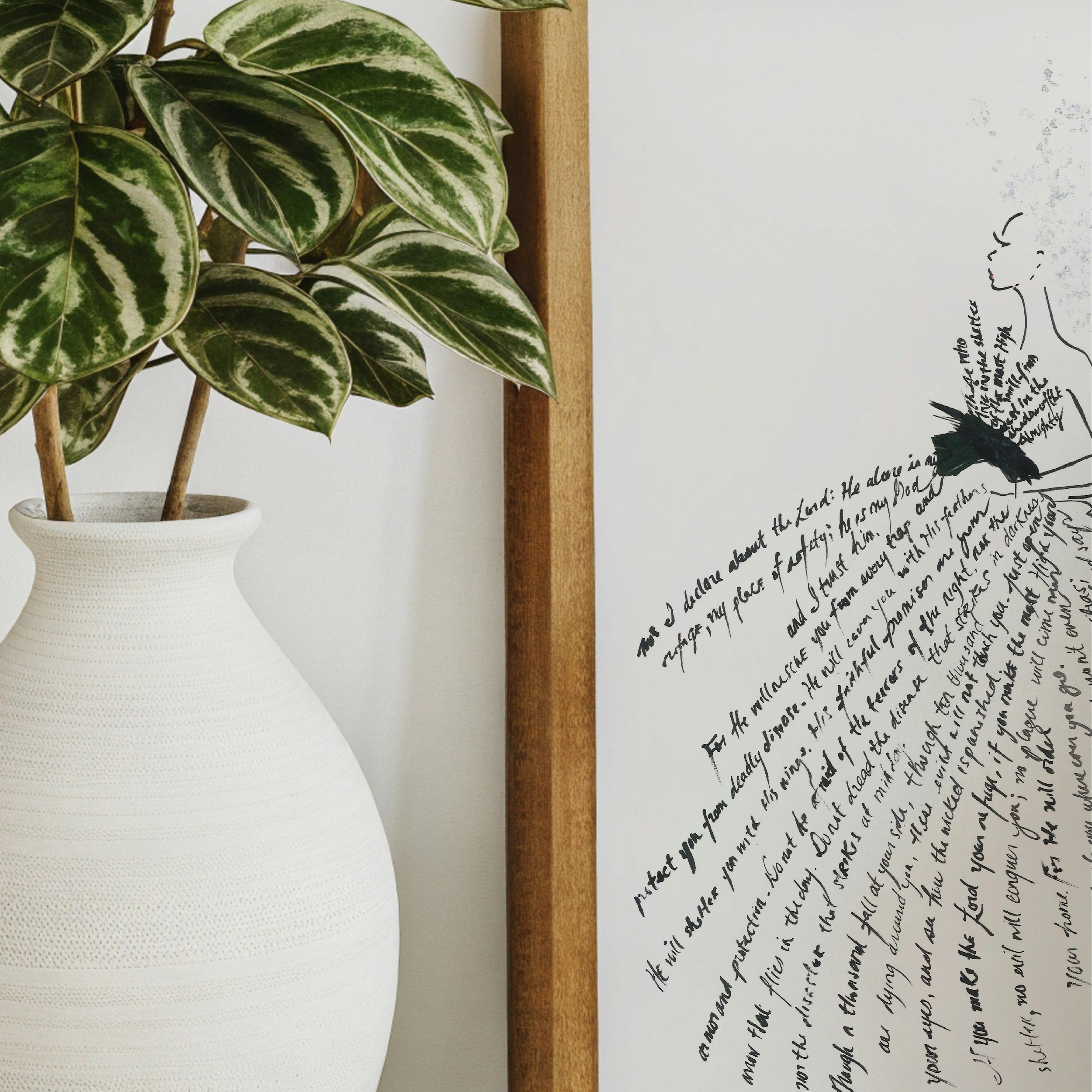 Win Back Series LAYOUT-07.png