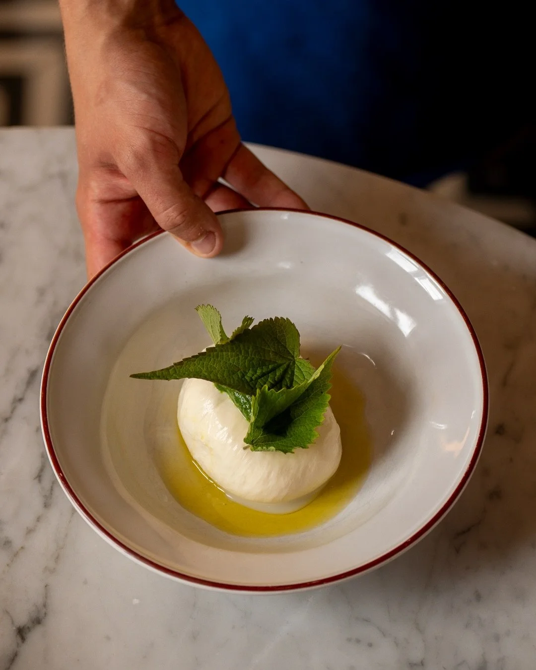 Fresh burrata, every single day. Delicate and creamy, with just the right bite.

Made in our Micro Dairy, seven days a week.